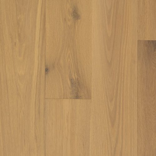 Oak Palomino