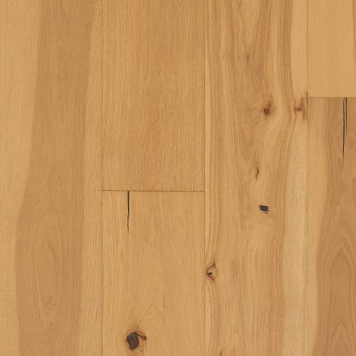 Hickory Angelina