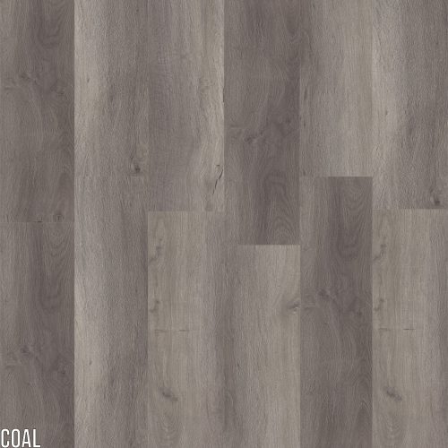 COAL DB20COAL SPC