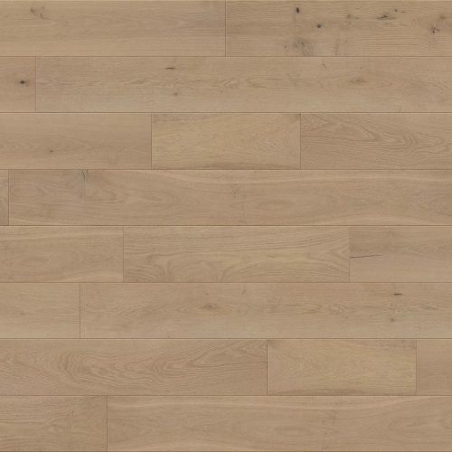 Emilia VEWO15E7