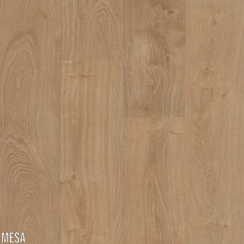 MESA DB25MESA SPC